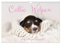 Cover Collie Welpen einfach zuckersüß (Wandkalender 2026 DIN A4 quer), CALVENDO Monatskalender
