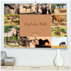 Cover Esel der Welt - Lieblings Langohren (hochwertiger Premium Wandkalender 2026 DIN A2 quer), Kunstdruck in Hochglanz