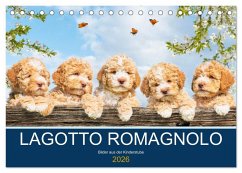Lagotto Romagnolo - Bilder aus der Kinderstube (Tischkalender 2026 DIN A5 quer), CALVENDO Monatskalender Lagotto Romagnolo - Bilder aus der Kinderstube (Tischkalender 2026 DIN A5 quer), CALVENDO Monatskalender