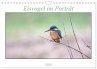 Eisvogel im Porträt (Wandkalender 2026... - Bild 1