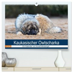 Cover Kaukasischer Owtscharka (hochwertiger Premium Wandkalender 2026 DIN A2 quer), Kunstdruck in Hochglanz