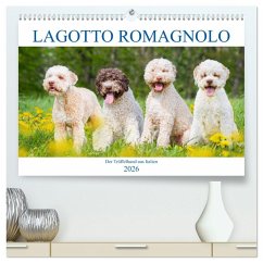 Lagotto Romagnolo - Der Trüffelhund aus Italien (hochwertiger Premium Wandkalender 2026 DIN A2 quer), Kunstdruck in Hochglanz Cover Lagotto Romagnolo - Der Trüffelhund aus Italien (hochwertiger Premium Wandkalender 2026 DIN A2 quer), Kunstdruck in Hochglanz