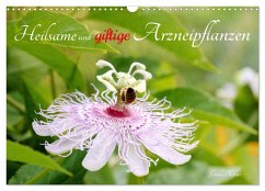 Heilsame und giftige Arzneipflanzen (Wandkalender 2026 DIN A3 quer), CALVENDO Monatskalender