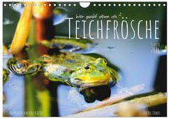 Teichfrösche (Wandkalender 2026 DIN A4 quer), CALVENDO Monatskalender