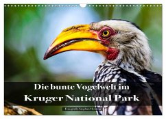 Die bunte Vogelwelt im Kruger National Park (Wandkalender 2026 DIN A3 quer), CALVENDO Monatskalender
