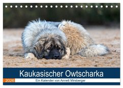 Cover Kaukasischer Owtscharka (Tischkalender 2026 DIN A5 quer), CALVENDO Monatskalender
