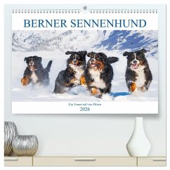 Berner Sennenhund - Ein Traum auf vier Pfoten (hochwertiger Premium Wandkalender 2026 DIN A2 quer), Kunstdruck in Hochglanz