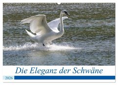 Die Eleganz der Schwäne (Wandkalender 2026 DIN A2 quer), CALVENDO Monatskalender Die Eleganz der Schwäne (Wandkalender 2026 DIN A2 quer), CALVENDO Monatskalender