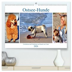 Cover Ostsee-Hunde - Zweibeiner und Vierbeiner am Strand von Cranz (hochwertiger Premium Wandkalender 2026 DIN A2 quer), Kunstdruck in Hochglanz