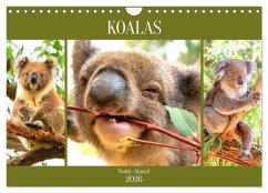 Koalas. Teddy-Alarm! (Wandkalender 2026 DIN A4 quer), CALVENDO Monatskalender