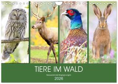 Tiere im Wald. Bezaubernde Begegnungen (Wandkalender 2026 DIN A4 quer), CALVENDO Monatskalender