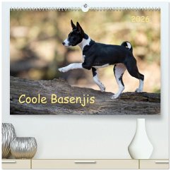 Coole Basenjis (hochwertiger Premium Wandkalender 2026 DIN A2 quer), Kunstdruck in Hochglanz