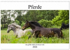 Cover Pferde, das größte Glück auf dieser Erde (Wandkalender 2026 DIN A3 quer), CALVENDO Monatskalender