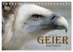 Cover GEIERPORTRÄTS (Tischkalender 2026 DIN A5 quer), CALVENDO Monatskalender