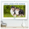 Eine Liebe für immer - Collies... - Bild 1