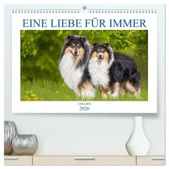 Cover Eine Liebe für immer - Collies (hochwertiger Premium Wandkalender 2026 DIN A2 quer), Kunstdruck in Hochglanz