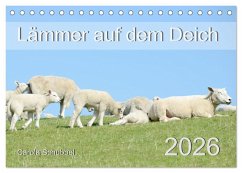Lämmer auf dem Deich (Tischkalender 2026 DIN A5 quer), CALVENDO Monatskalender