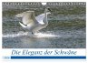 Die Eleganz der Schwäne (Wandkalender... - Bild 1