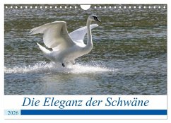 Die Eleganz der Schwäne (Wandkalender 2026 DIN A4 quer), CALVENDO Monatskalender Die Eleganz der Schwäne (Wandkalender 2026 DIN A4 quer), CALVENDO Monatskalender