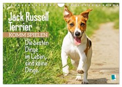Jack Russell Terrier: Komm spielen (Wandkalender 2026 DIN A4 quer), CALVENDO Monatskalender Jack Russell Terrier: Komm spielen (Wandkalender 2026 DIN A4 quer), CALVENDO Monatskalender
