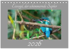 Eisvogel, der schimmernde Saphir (Tischkalender 2026 DIN A5 quer), CALVENDO Monatskalender Eisvogel, der schimmernde Saphir (Tischkalender 2026 DIN A5 quer), CALVENDO Monatskalender