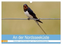 An der Nordseeküste - Wasser- und Küstenvögel fotografiert von Ostfriesenfotografie (Wandkalender 2026 DIN A3 quer), CALVENDO Monatskalender An der Nordseeküste - Wasser- und Küstenvögel fotografiert von Ostfriesenfotografie (Wandkalender 2026 DIN A3 quer), CALVENDO Monatskalender