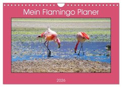 Mein Flamingo Planer (Wandkalender 2026 DIN A4 quer), CALVENDO Monatskalender