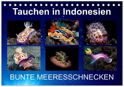 Tauchen in Indonesien - BUNTE MEERESSCHNECKEN (Tischkalender 2026 DIN A5 quer), CALVENDO Monatskalender