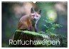 Rotfuchswelpen (Wandkalender 2026 DIN... - Bild 1