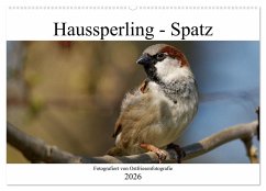 Haussperling - Spatz fotografiert von Ostfriesenfotografie (Wandkalender 2026 DIN A2 quer), CALVENDO Monatskalender
