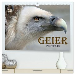 Cover GEIERPORTRÄTS (hochwertiger Premium Wandkalender 2026 DIN A2 quer), Kunstdruck in Hochglanz