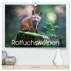 Cover Rotfuchswelpen (hochwertiger Premium Wandkalender 2026 DIN A2 quer), Kunstdruck in Hochglanz