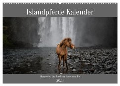 Islandpferde Kalender - Pferde von der Insel aus Feuer und Eis (Wandkalender 2026 DIN A2 quer), CALVENDO Monatskalender