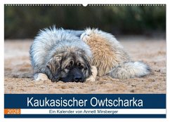 Cover Kaukasischer Owtscharka (Wandkalender 2026 DIN A2 quer), CALVENDO Monatskalender