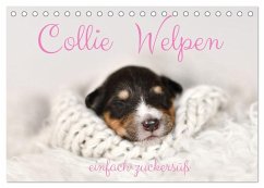 Cover Collie Welpen einfach zuckersüß (Tischkalender 2026 DIN A5 quer), CALVENDO Monatskalender
