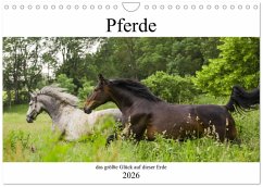 Cover Pferde, das größte Glück auf dieser Erde (Wandkalender 2026 DIN A4 quer), CALVENDO Monatskalender