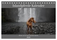 Islandpferde Kalender - Pferde von der Insel aus Feuer und Eis (Tischkalender 2026 DIN A5 quer), CALVENDO Monatskalender