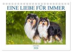 Cover Eine Liebe für immer - Collies (Tischkalender 2026 DIN A5 quer), CALVENDO Monatskalender