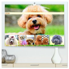 Pudel. Lustige Allrounder im Wollfell (hochwertiger Premium Wandkalender 2026 DIN A2 quer), Kunstdruck in Hochglanz