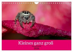 Kleines ganz groß - Makrofotografie (Wandkalender 2026 DIN A4 quer), CALVENDO Monatskalender
