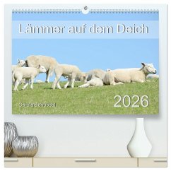 Lämmer auf dem Deich (hochwertiger Premium Wandkalender 2026 DIN A2 quer), Kunstdruck in Hochglanz