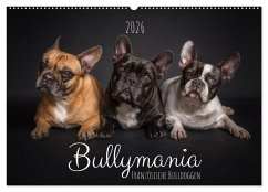 Bullymania - Französische Bulldoggen (Wandkalender 2026 DIN A2 quer), CALVENDO Monatskalender