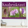 Knabenkraut (hochwertiger Premium... - Bild 1
