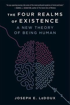 The Four Realms of Existence - LeDoux, Joseph E