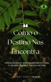 Como o Destino Nos Encontra (eBook, ePUB) Como o Destino Nos Encontra (eBook, ePUB)