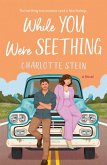 While You Were Seething (eBook, ePUB)