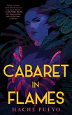Cabaret in Flames (eBook, ePUB)