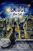 A Starry Night Out with Smidge the Cat (eBook, ePUB) A Starry Night Out with Smidge the Cat (eBook, ePUB)