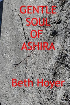 Cover Gentle Soul of Ashira (eBook, ePUB)