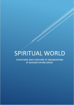 Cover Spiritual World: Structures and Functions of Organizations (eBook, ePUB)